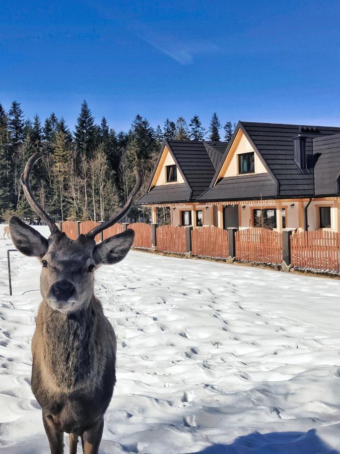 M Domki Zakopane Exterior photo